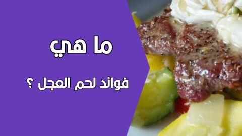 لحم العجل
